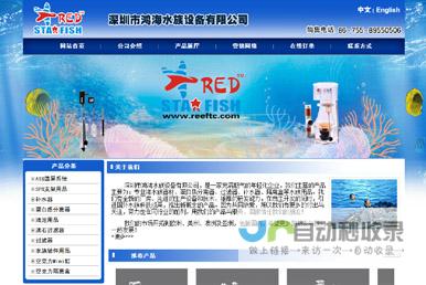 龙岗网站制作：定制专属在线平台，满足您多元化需求