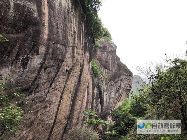 打造武夷山品牌形象，提升旅游网站建设专业度